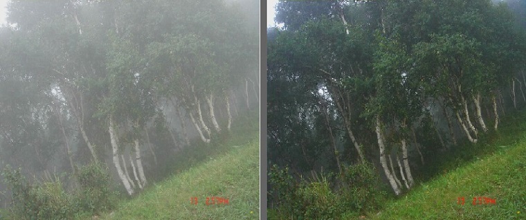 视频图像窥伺-去雾