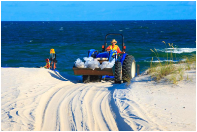 谈球吧官网影像真伪鉴定系统